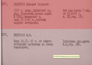 Памяти 69 воинов-топчихинцев замученных фашистами в лагерях военнопленных