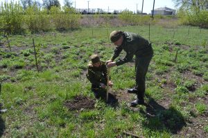 Междунородная Акция "САД ПАМЯТИ"