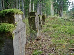 Воины уроженцы населённых пунктов современного Топчихинского района, участники Первой мировой войны 1914-1918 годов