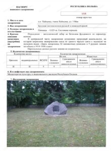 Воины уроженцы населённых пунктов современного Топчихинского района, участники Первой мировой войны 1914-1918 годов